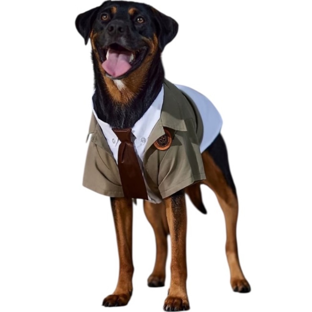 New Marvel Loki Variant Dog Costume XXL